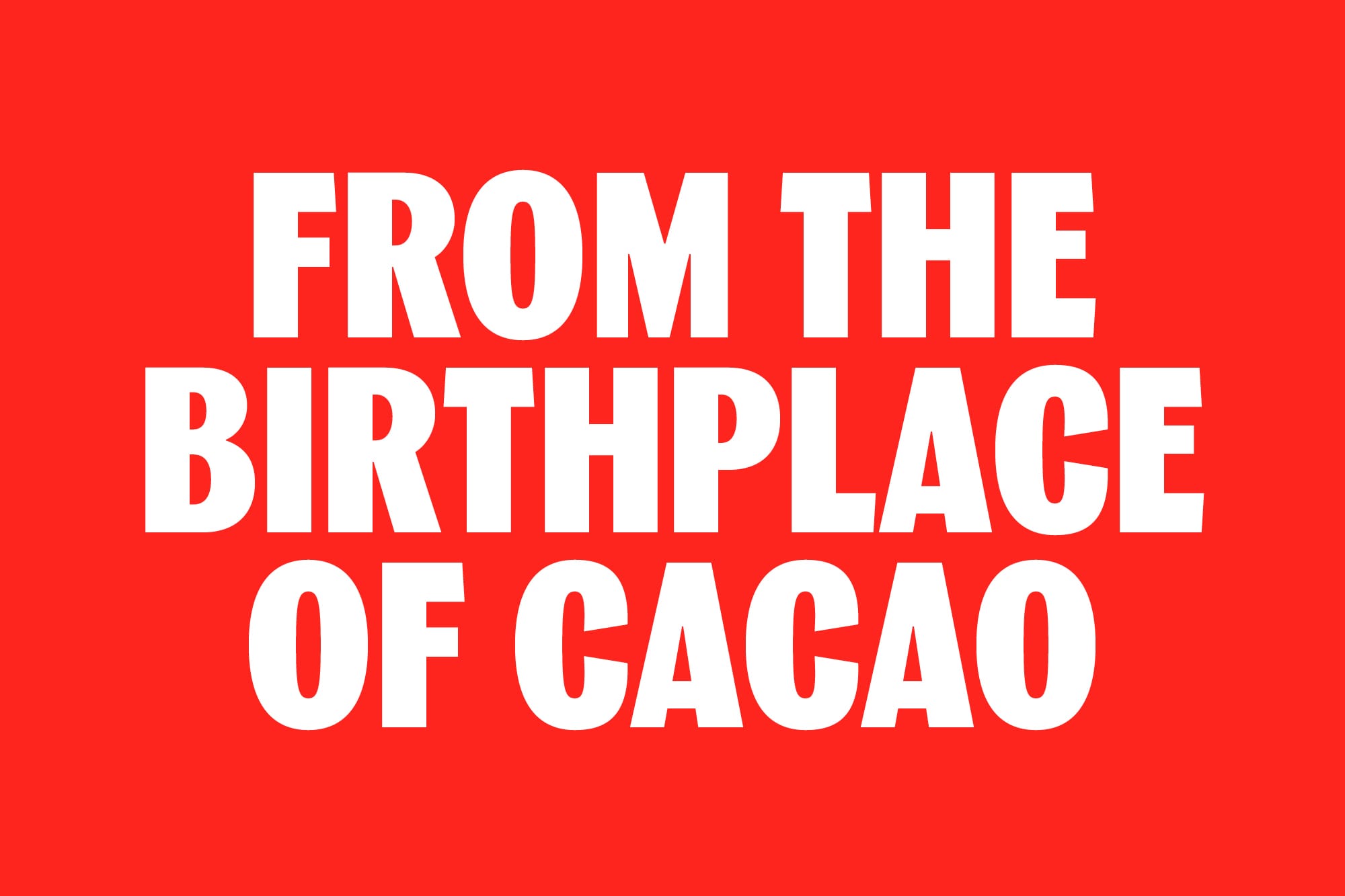 from the birthplace of cacao