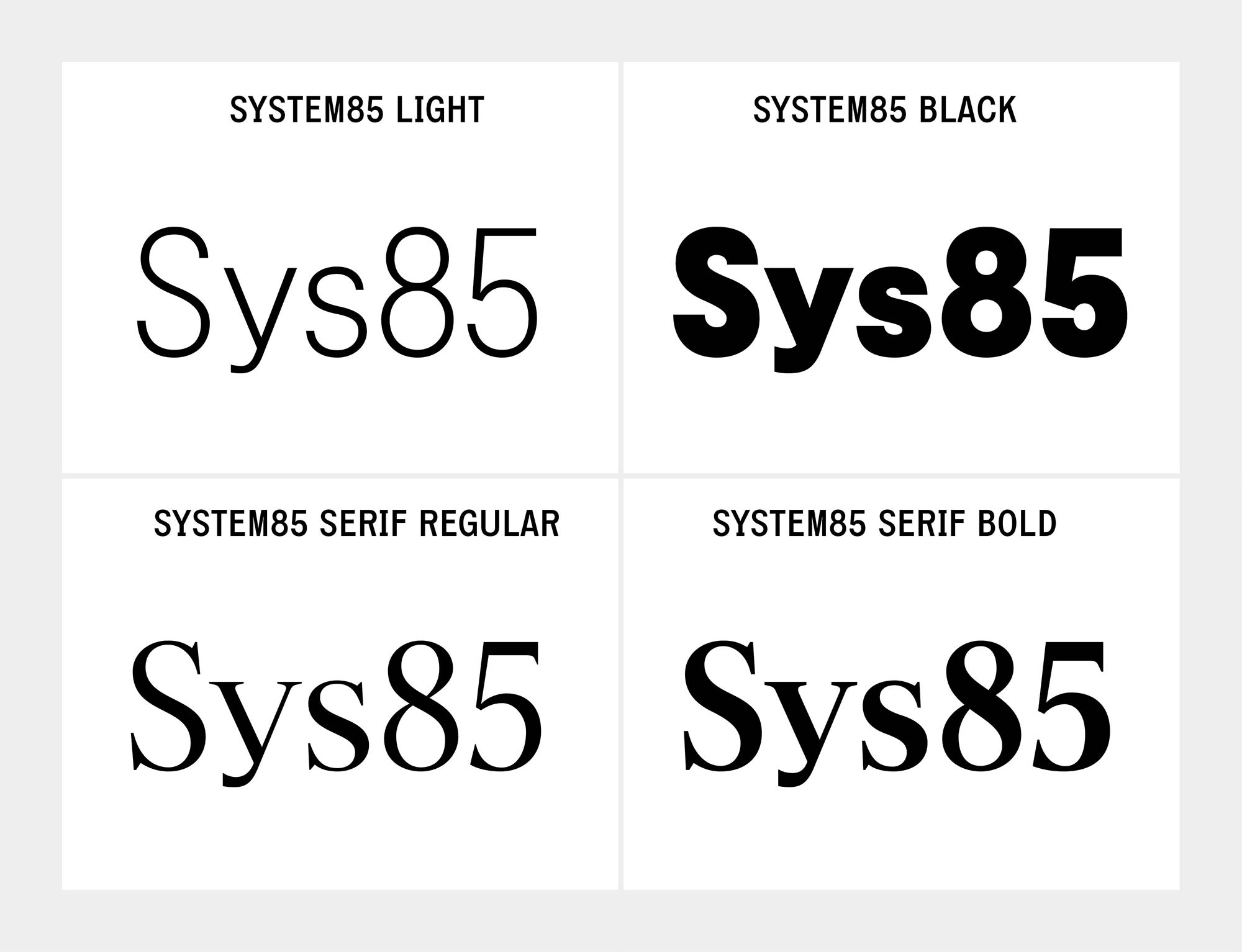system weights